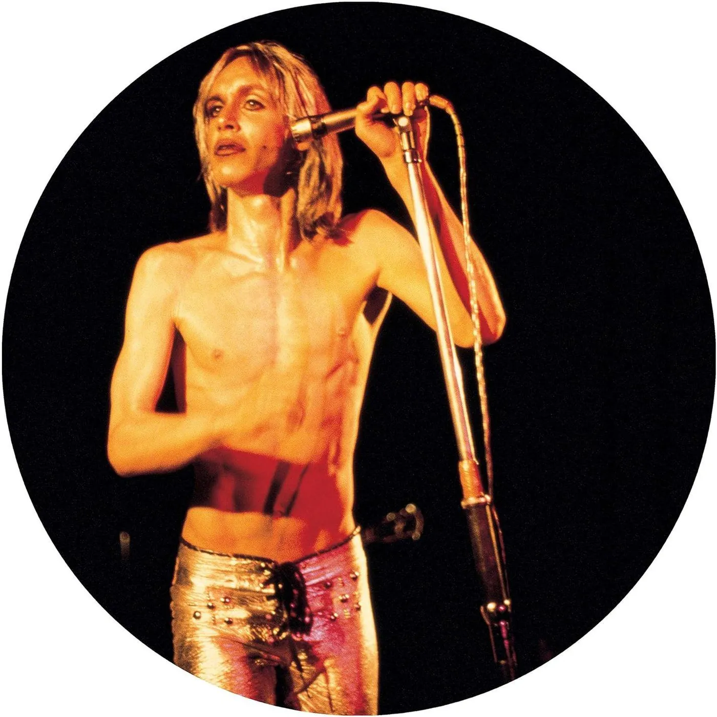 Iggy and the Stooges More Power (Reissued) Vinyl Record