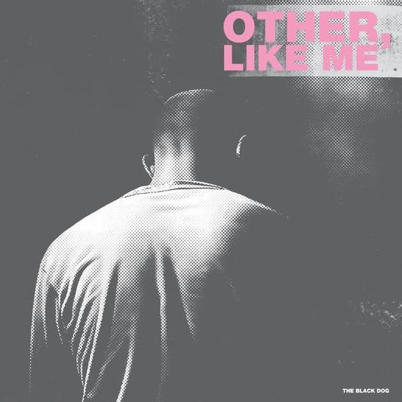 Black Dog Other, Like Me (2LP) Vinyl Record