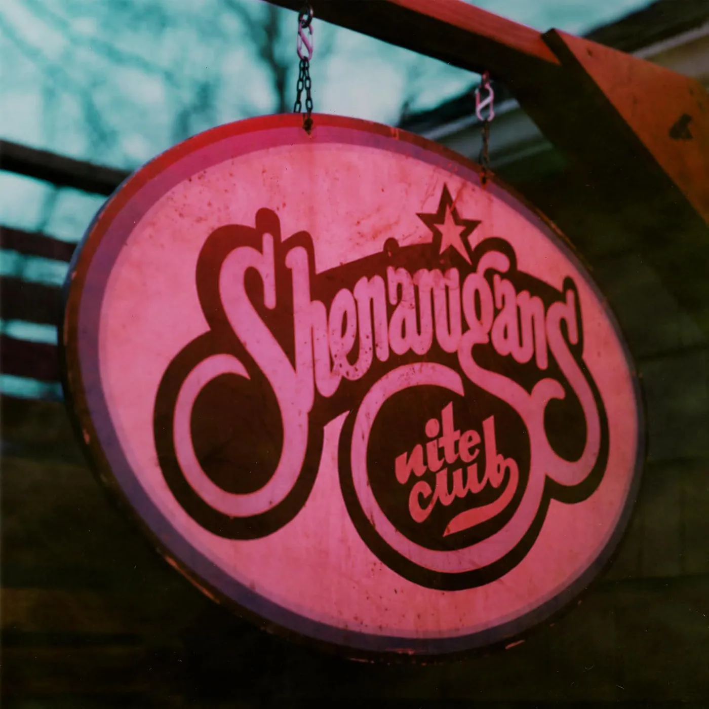 Goose Shenanigans Nite Club (Limited/2LP/180G/Purple) Vinyl Record