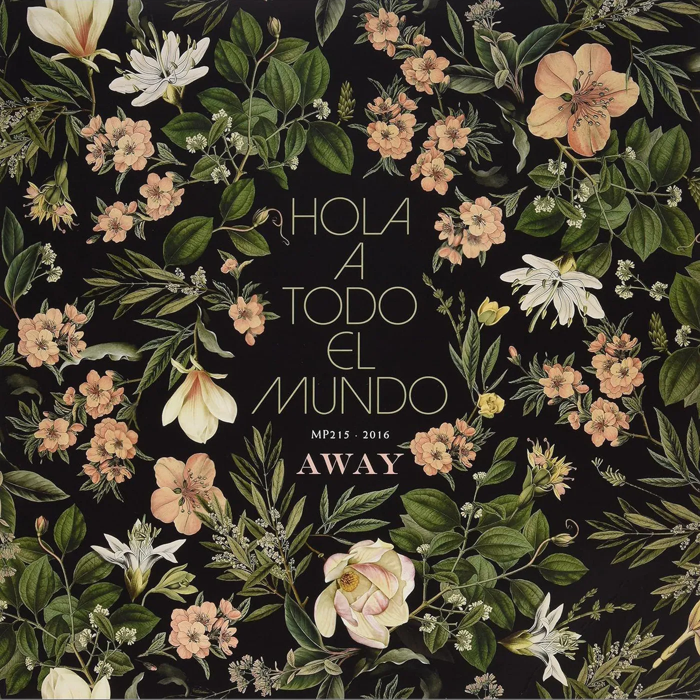 Hola A Todo El Mundo Away Vinyl Record