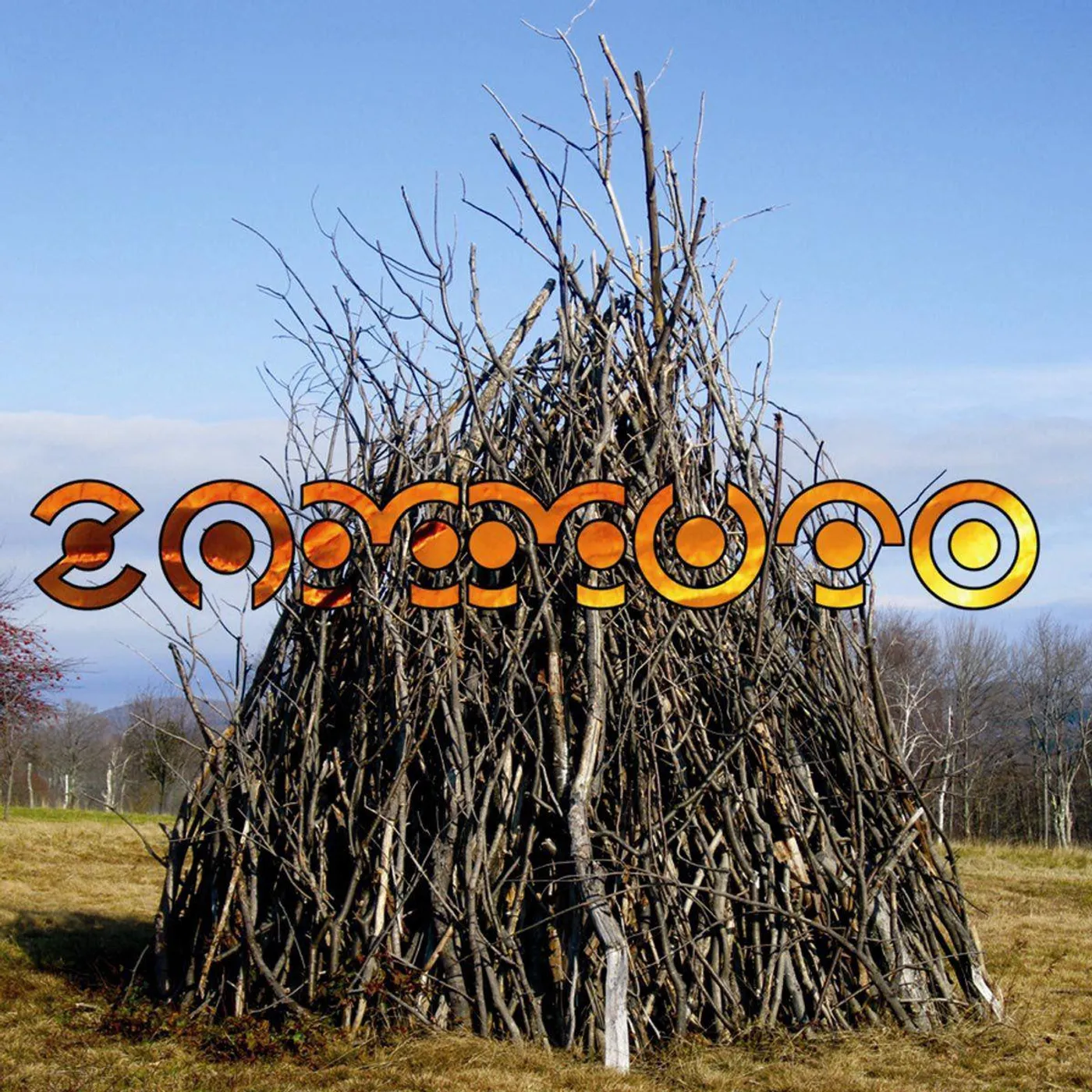 Zammuto Vinyl Record