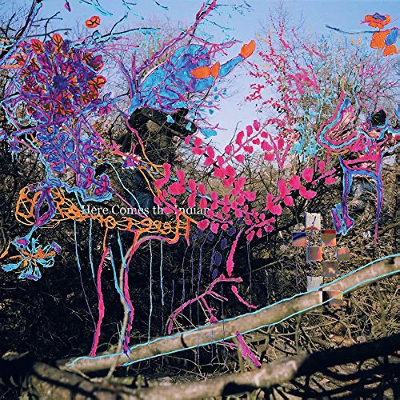 Animal Collective Here Comes The Indian Vinyl Record