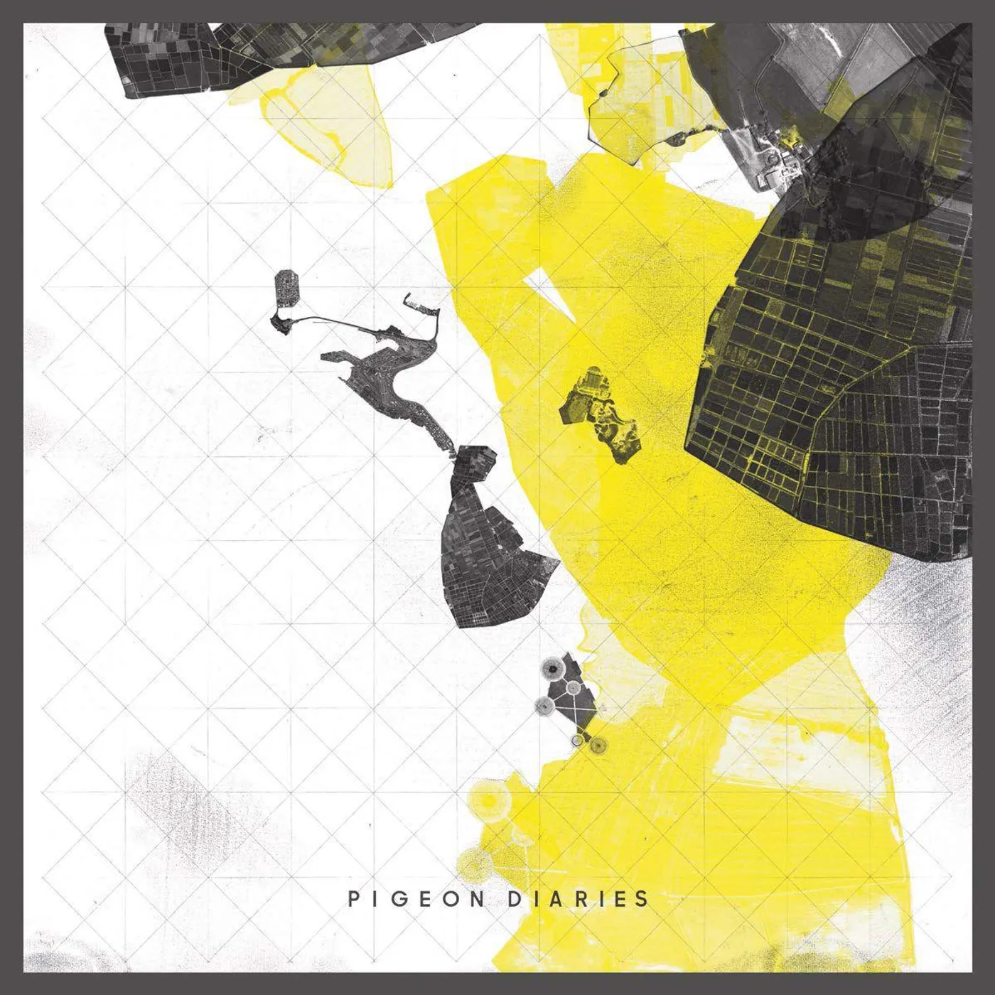 Enablers Pigeon Diaries Vinyl Record