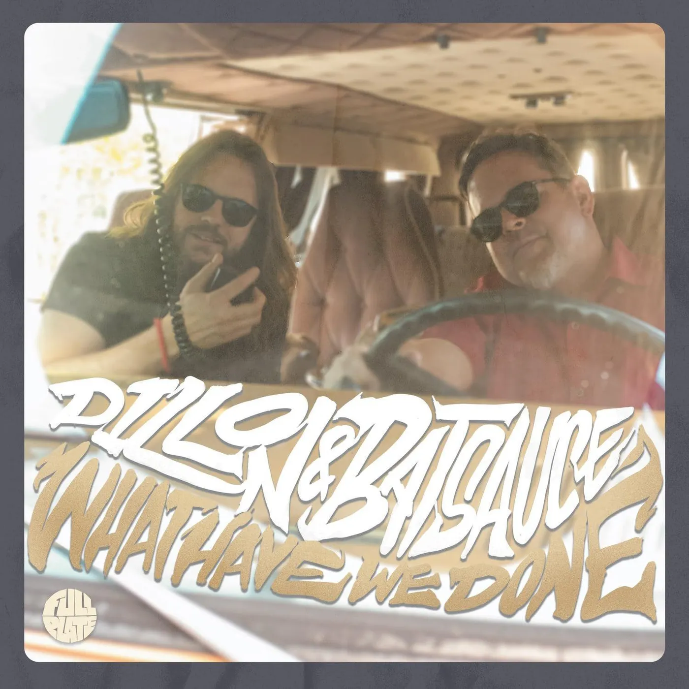 Dillon & Batsauce WHAT HAVE WE DONE Vinyl Record