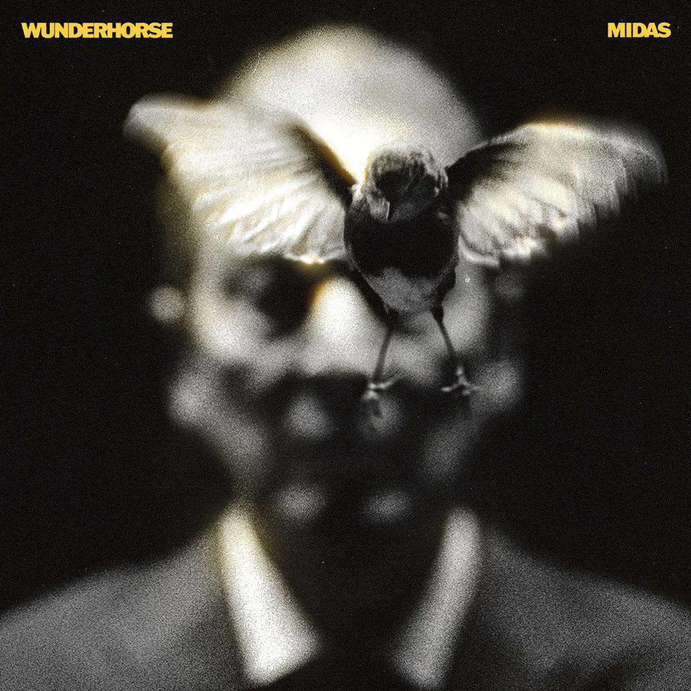 Wunderhorse Midas Vinyl Record
