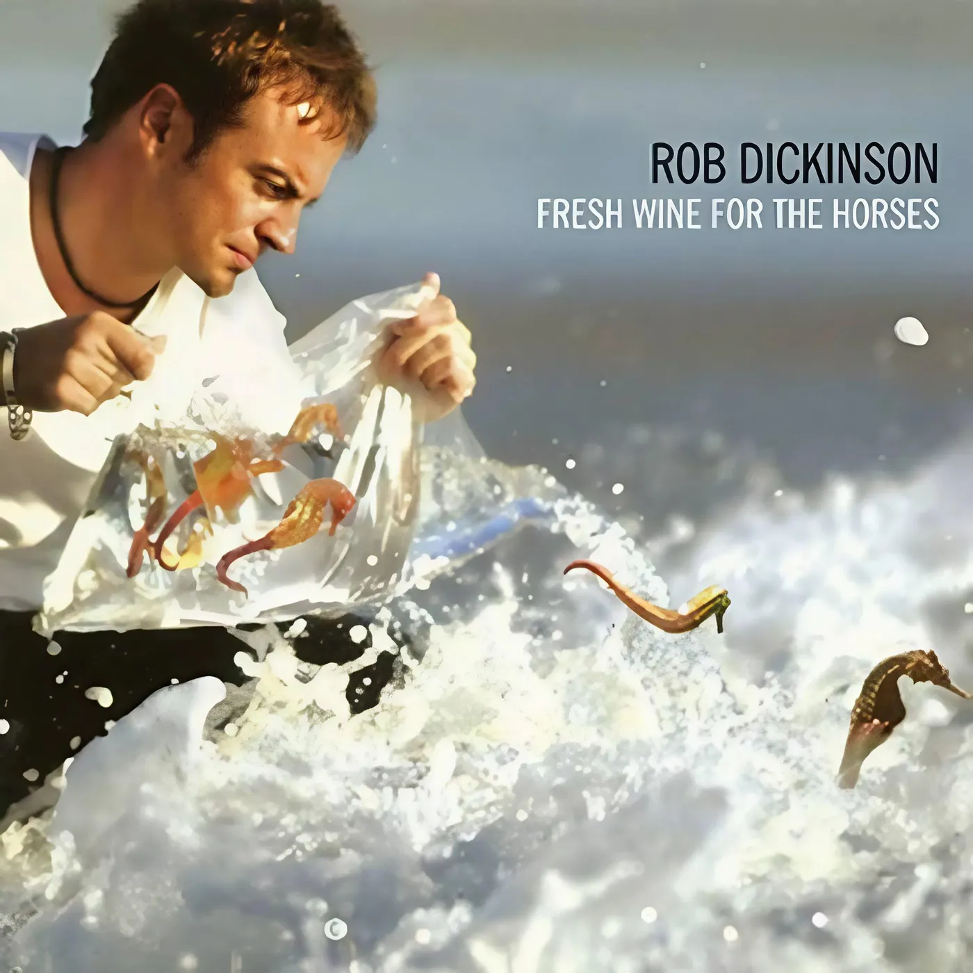 Rob Dickinson Fresh Wine For The Horses (2LP/Expanded/Limited/Red & Yellow Seahorse) (RSD) Vinyl Record