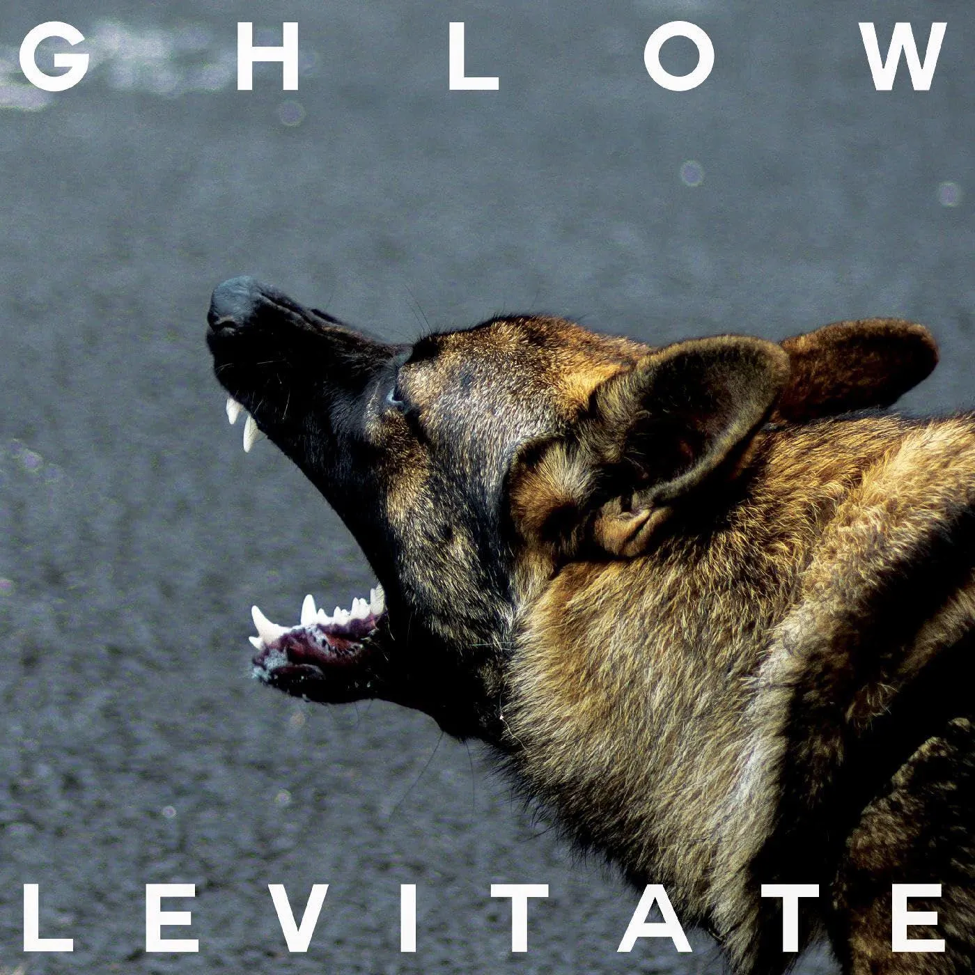 GHLOW Levitate Vinyl Record