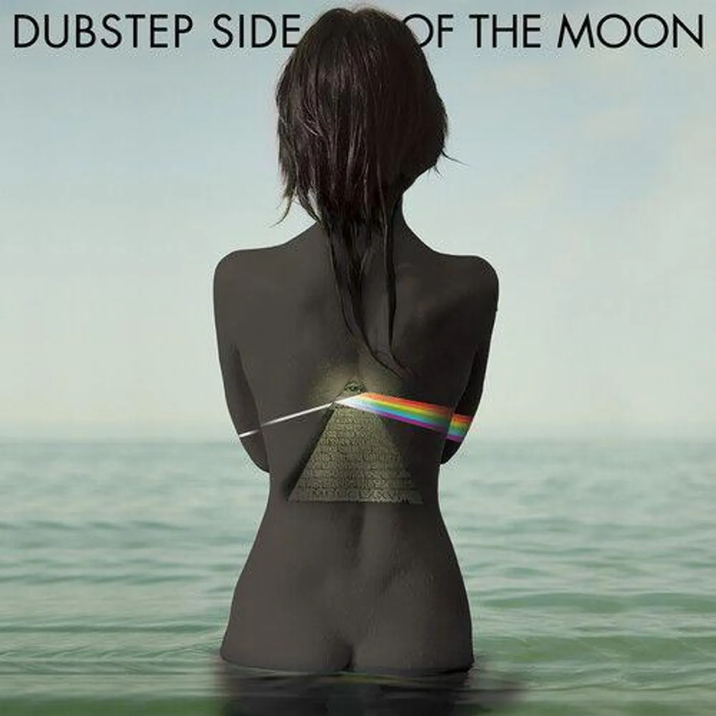Various Artists  Dubstep Side Of The Moon Vinyl Record