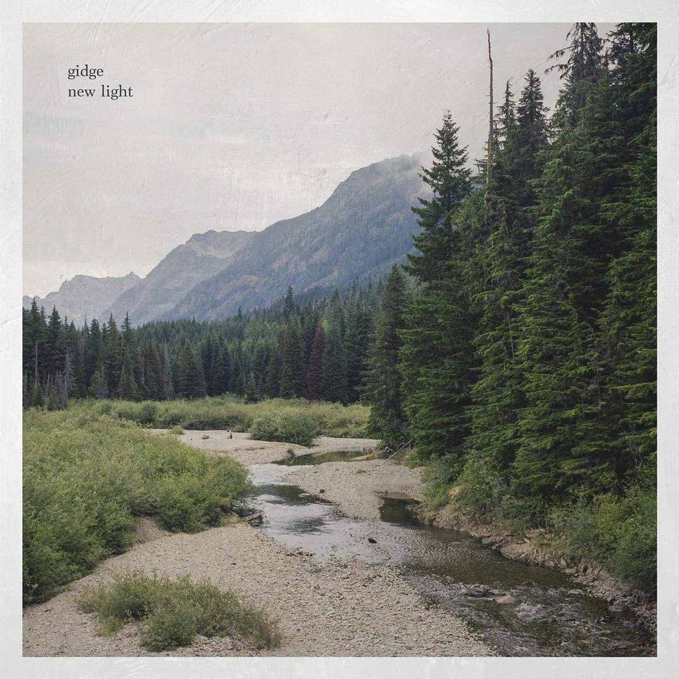 Gidge New Light Vinyl Record