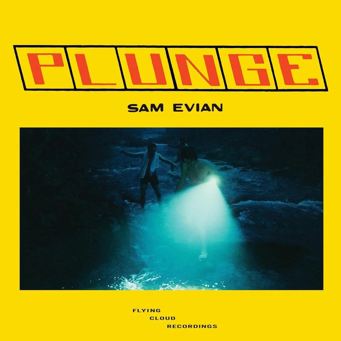Sam Evian PLUNGE Vinyl Record