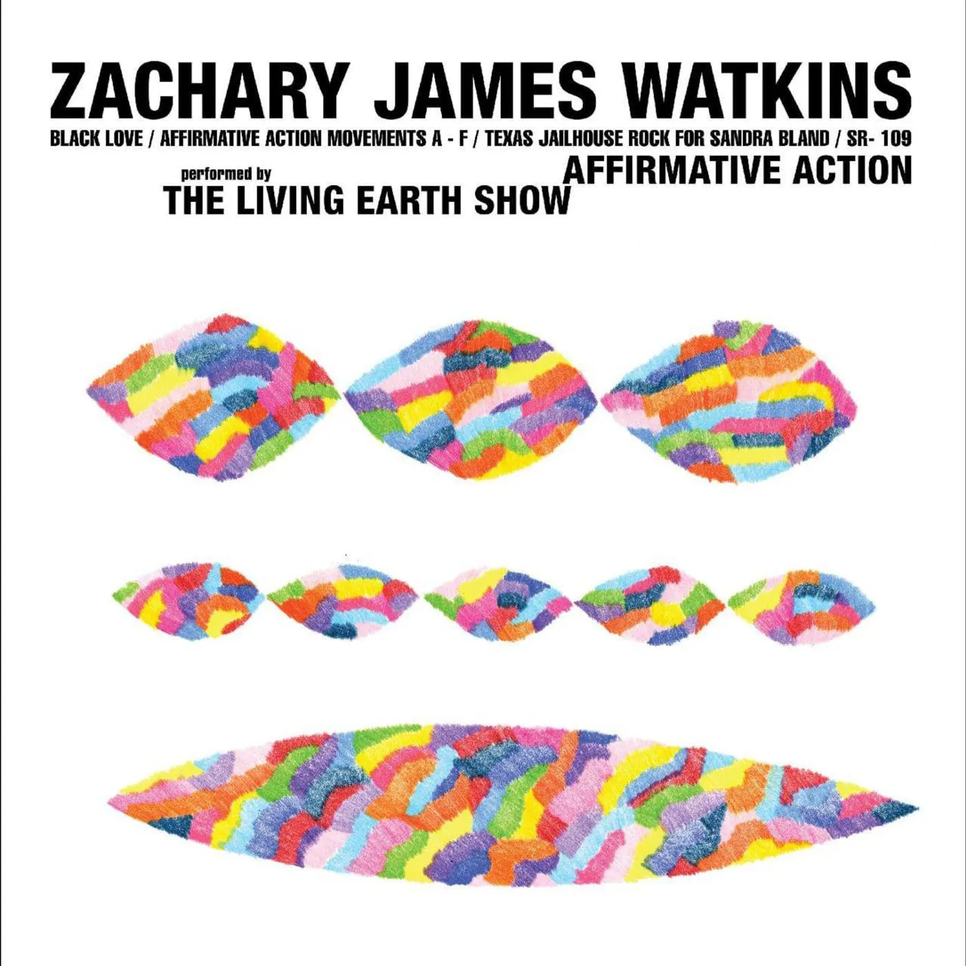 Zachary James Watkins AFFIRMATIVE ACTION Vinyl Record