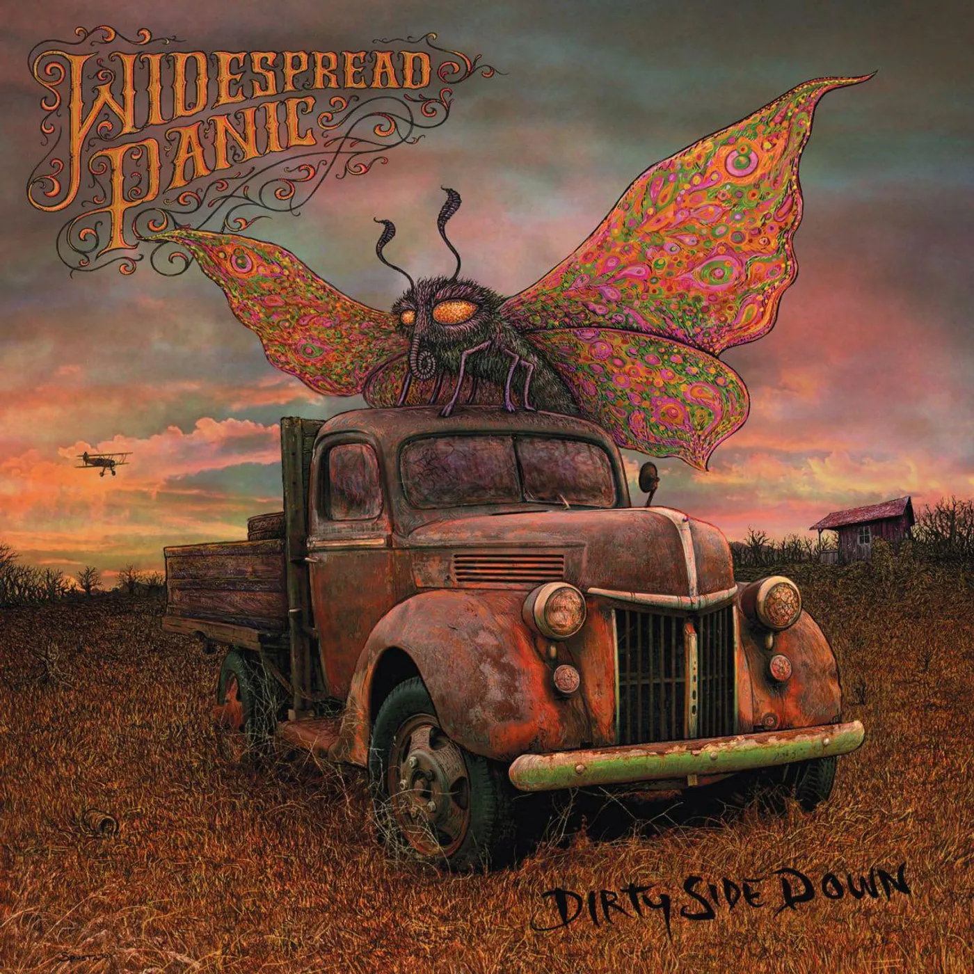 Widespread Panic Dirty Side Down (2LP/Colored) Vinyl Record