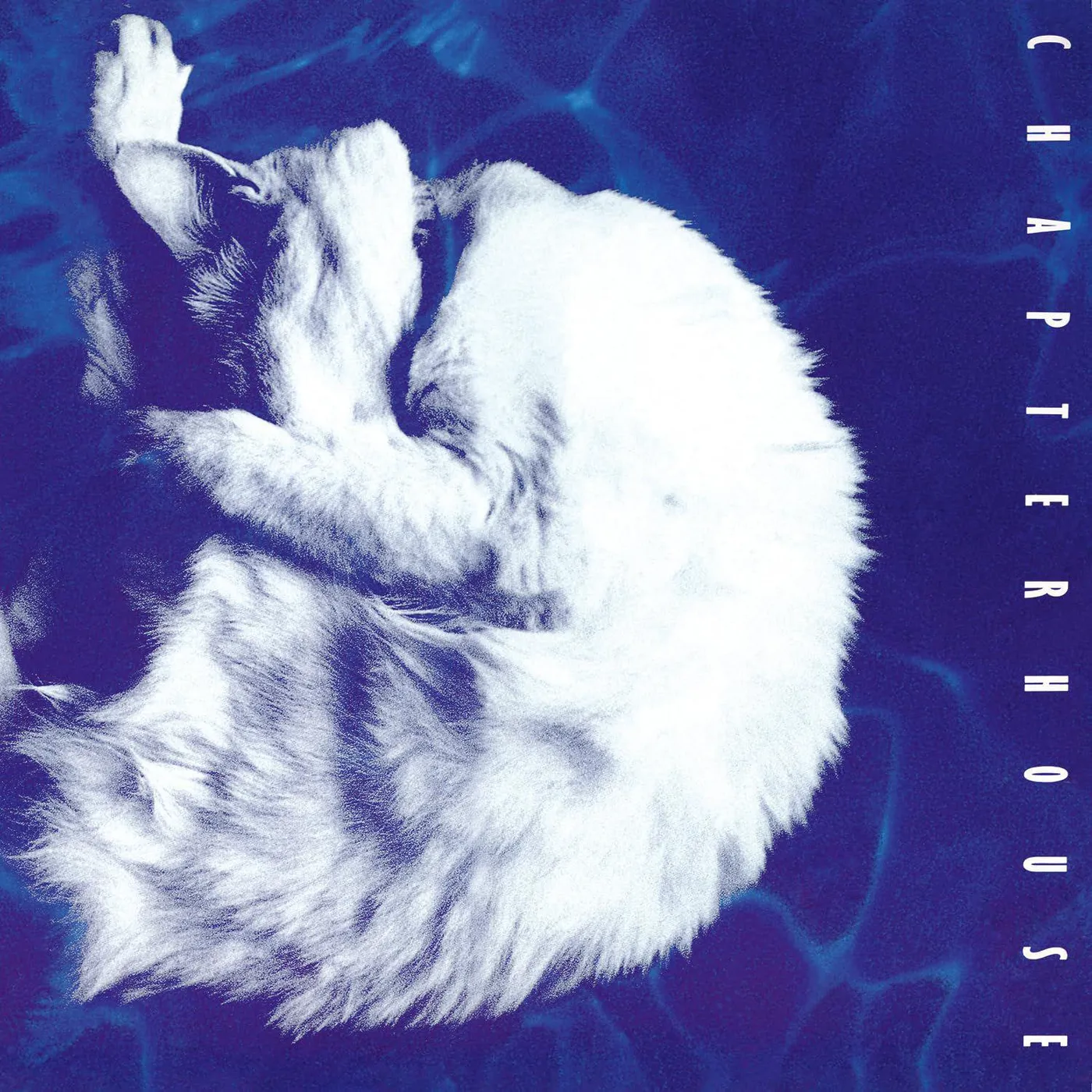 Chapterhouse Whirlpool (White Marbled/180G) Vinyl Record