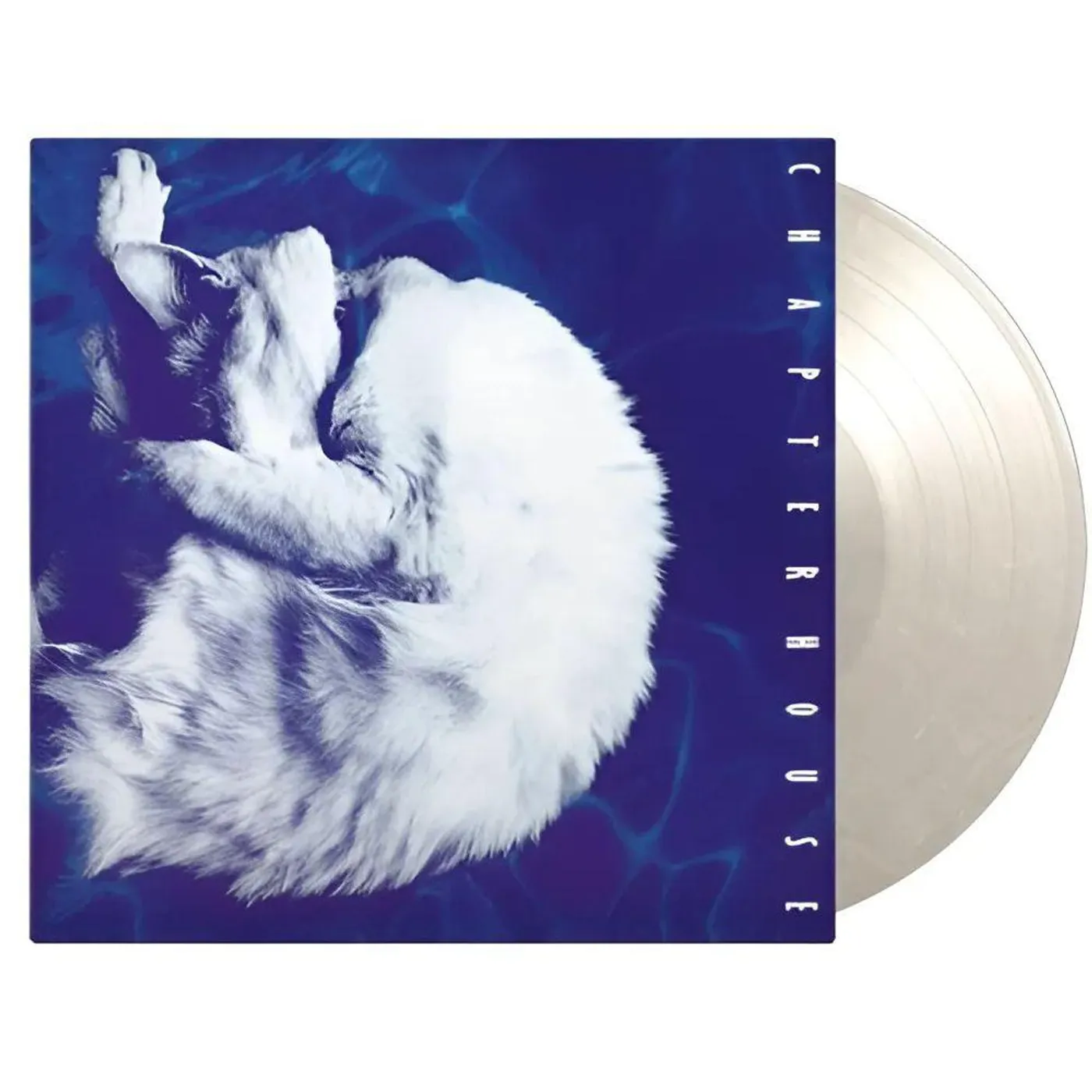 Chapterhouse Whirlpool (White Marbled/180G) Vinyl Record