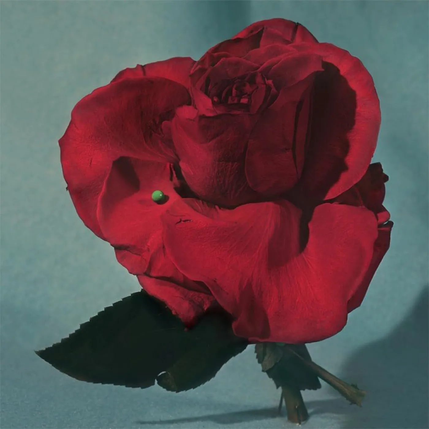 Metz Up On Gravity Hill (Colored) Vinyl Record