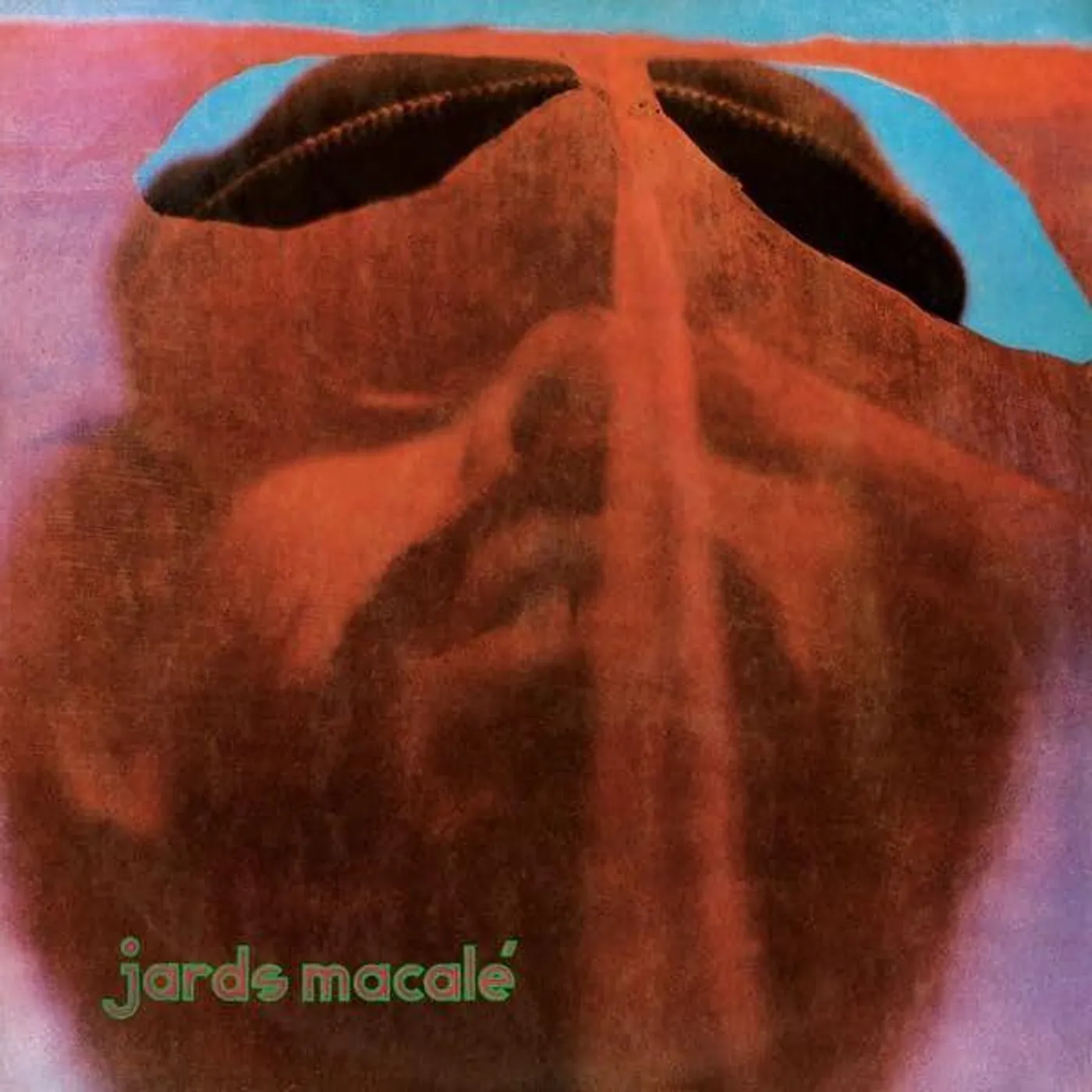  Jards Macalé S/T Vinyl Record