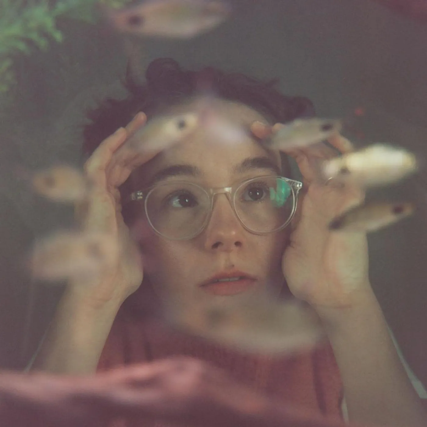 Morgan Harper-Jones Up To The Glass Vinyl Record