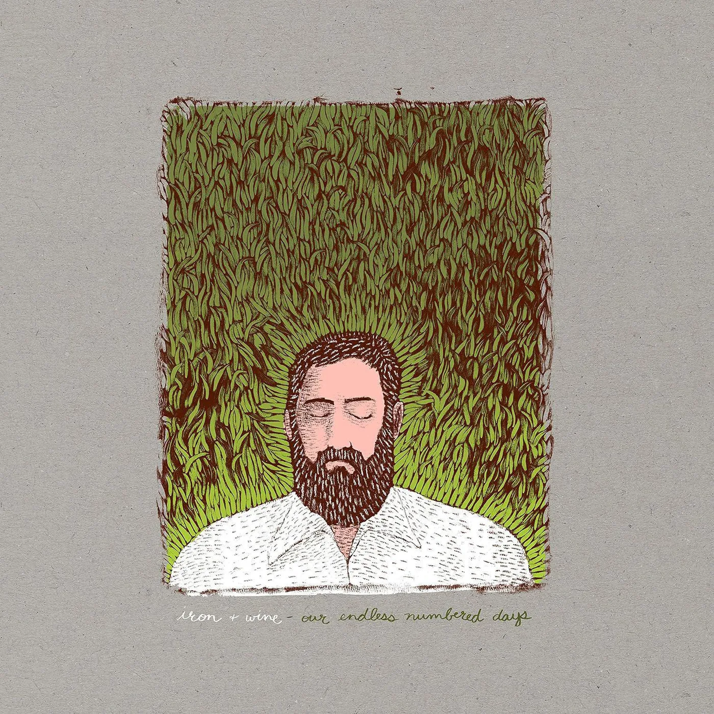 Iron & Wine Our Endless Numbered Days (Deluxe Edition) Vinyl Record