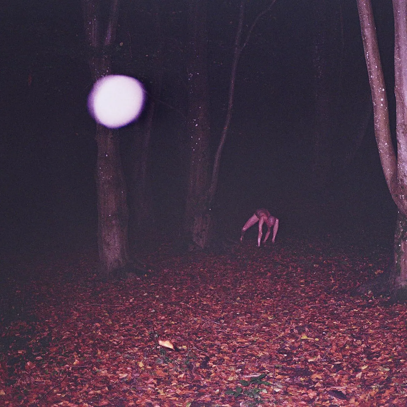 Buzzard Buzzard Buzzard Skinwalker Vinyl Record