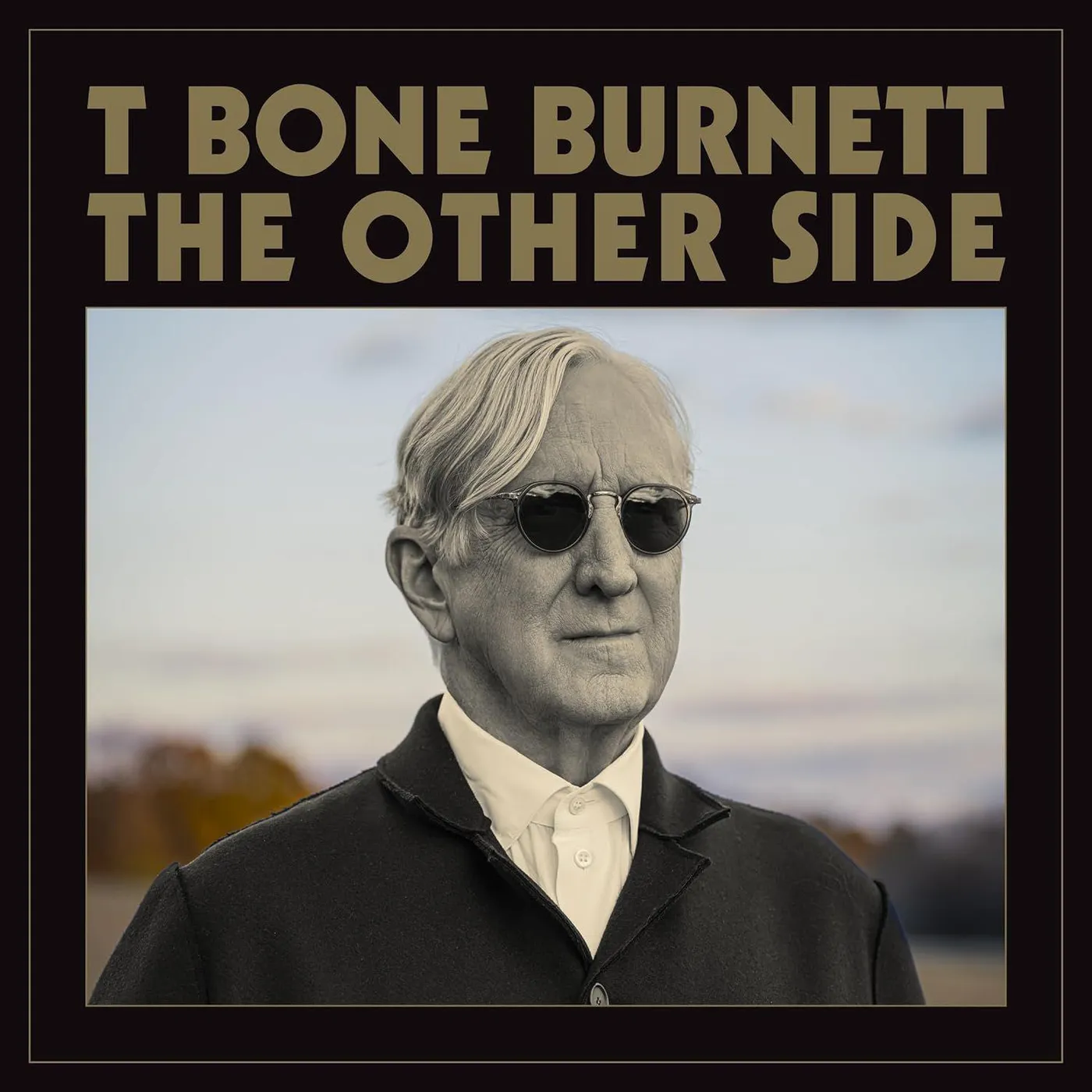 T Bone Burnett Other Side Vinyl Record