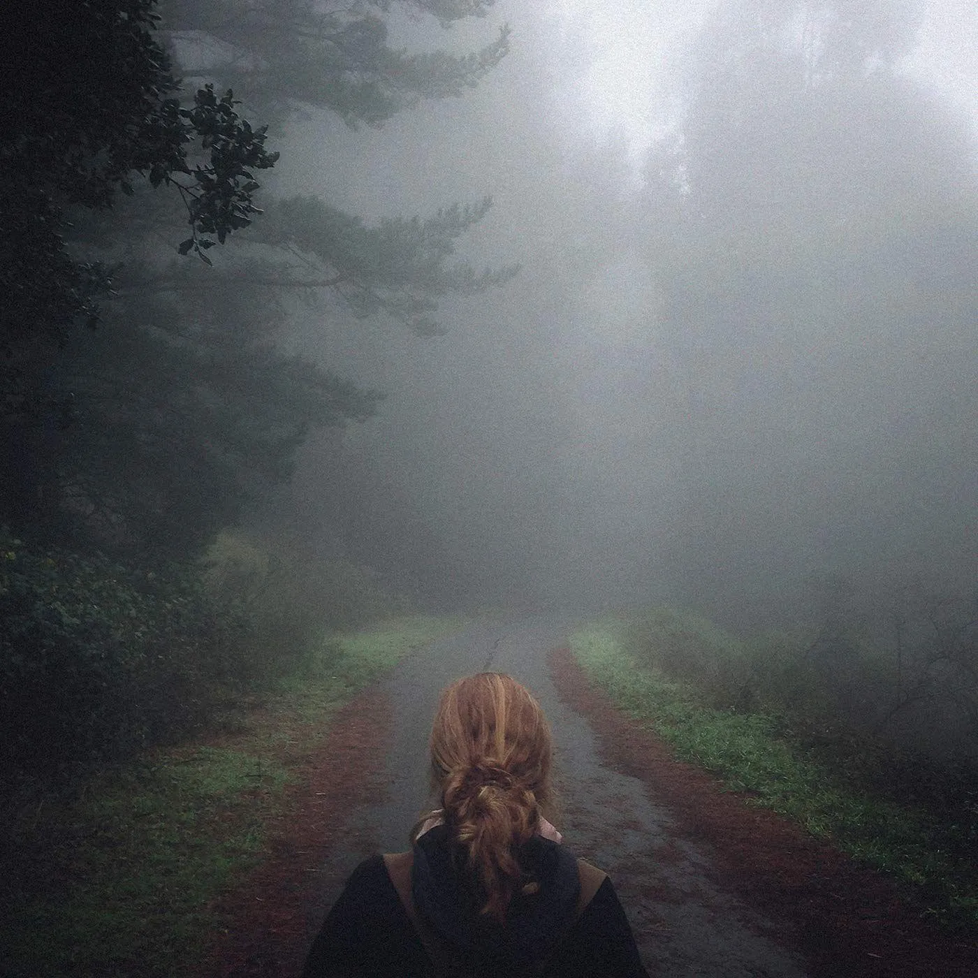 MONO Under The Pipal Tree (2lp) Vinyl Record