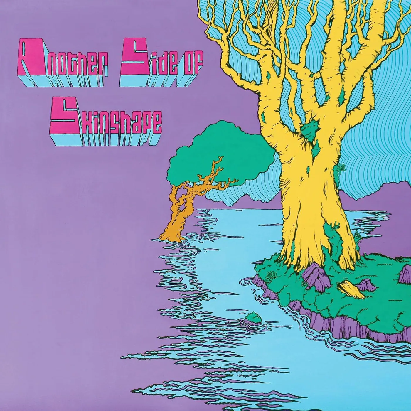 Another Side Of Skinshape Vinyl Record