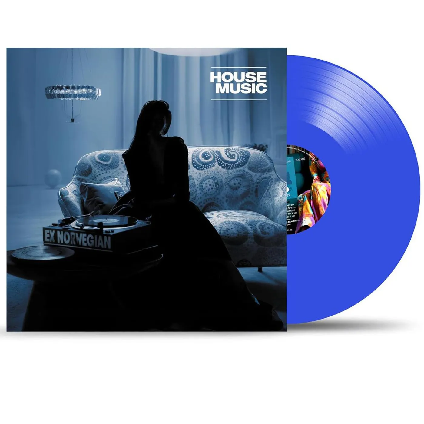 Ex Norwegian House Music (Blue) Vinyl Record
