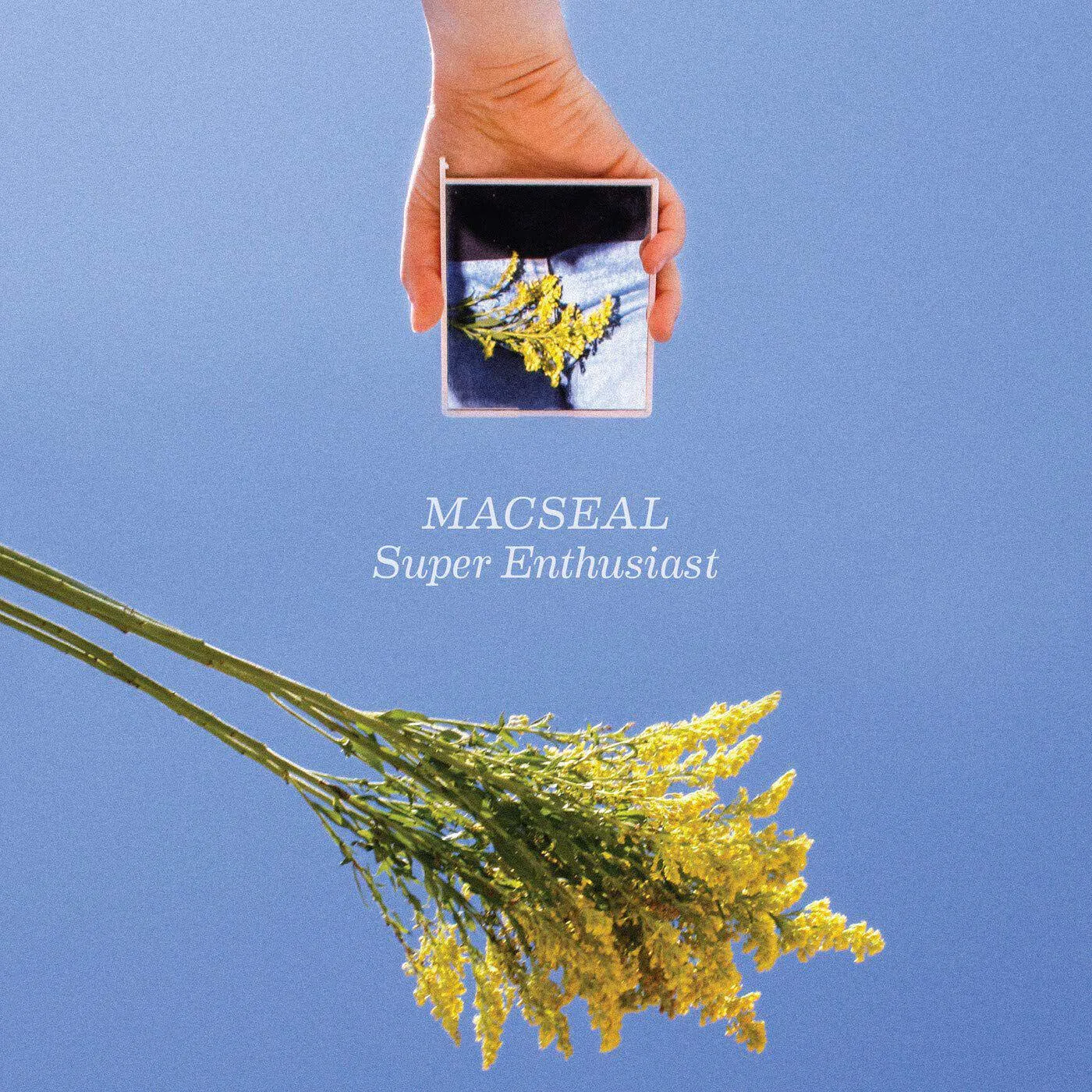 Macseal Super Enthusiast (Yellow/DL Card) Vinyl Record