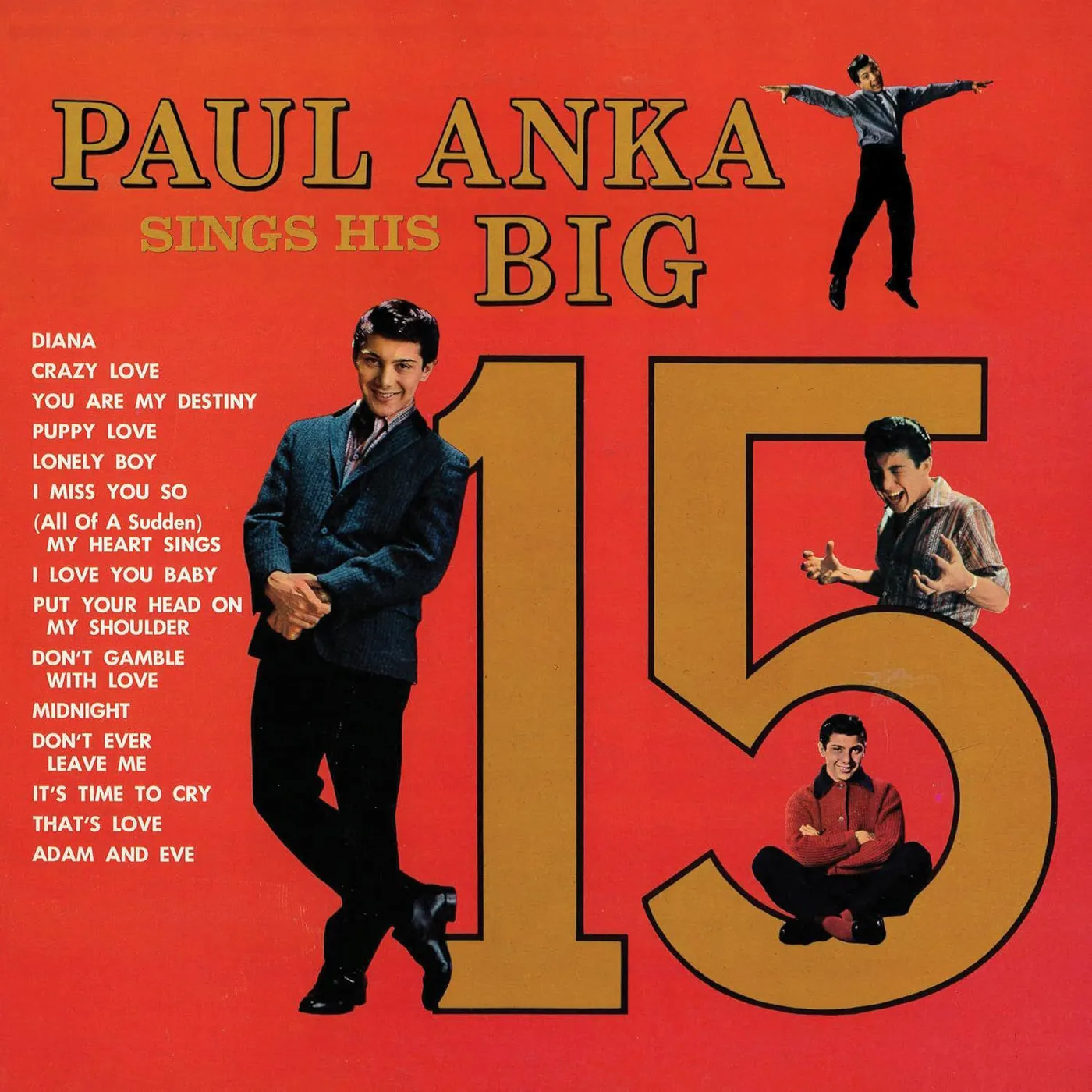 Paul Anka Sings His Big 15 (Gold) Vinyl Record