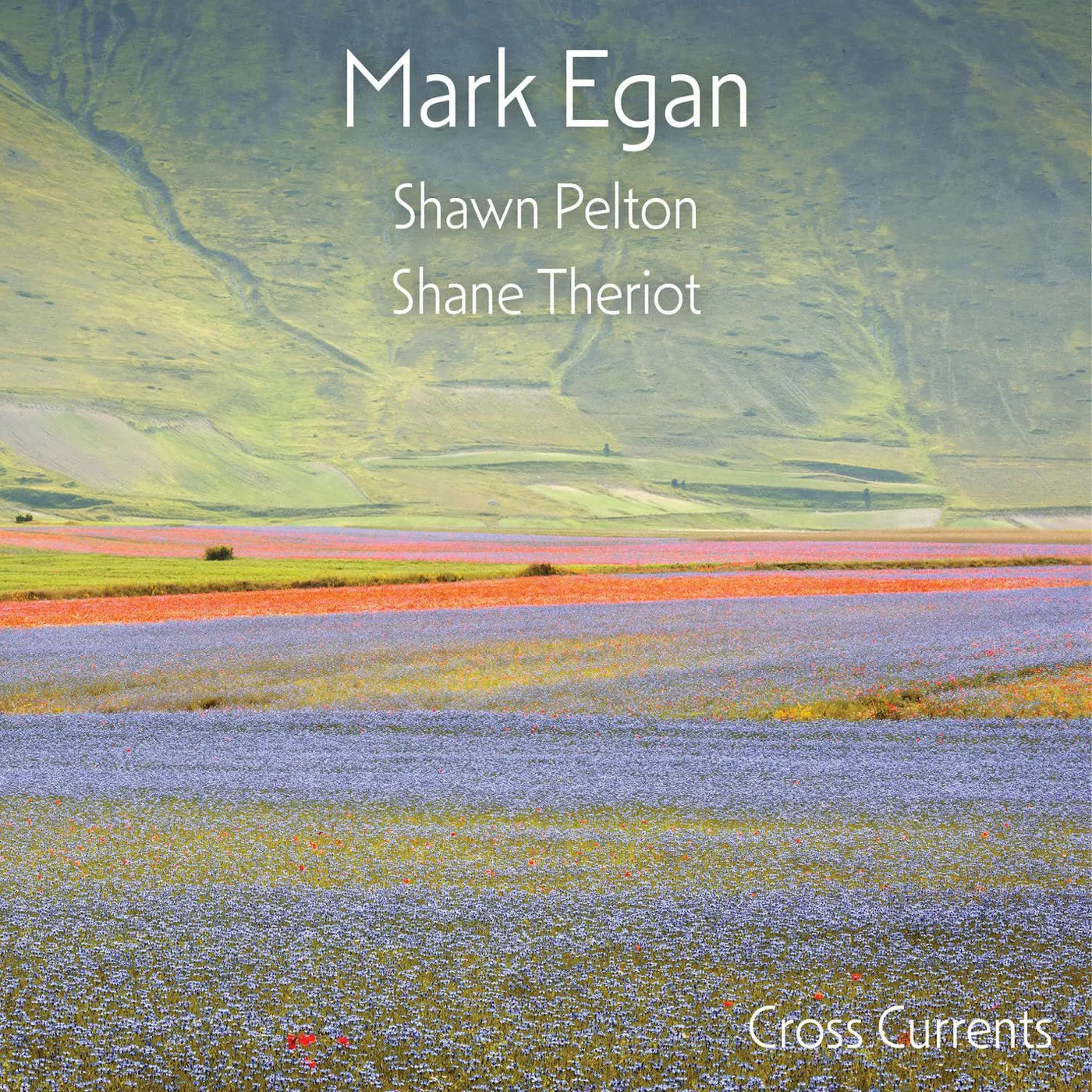 Mark Egan Cross Currents (180g/2lp) Vinyl Record