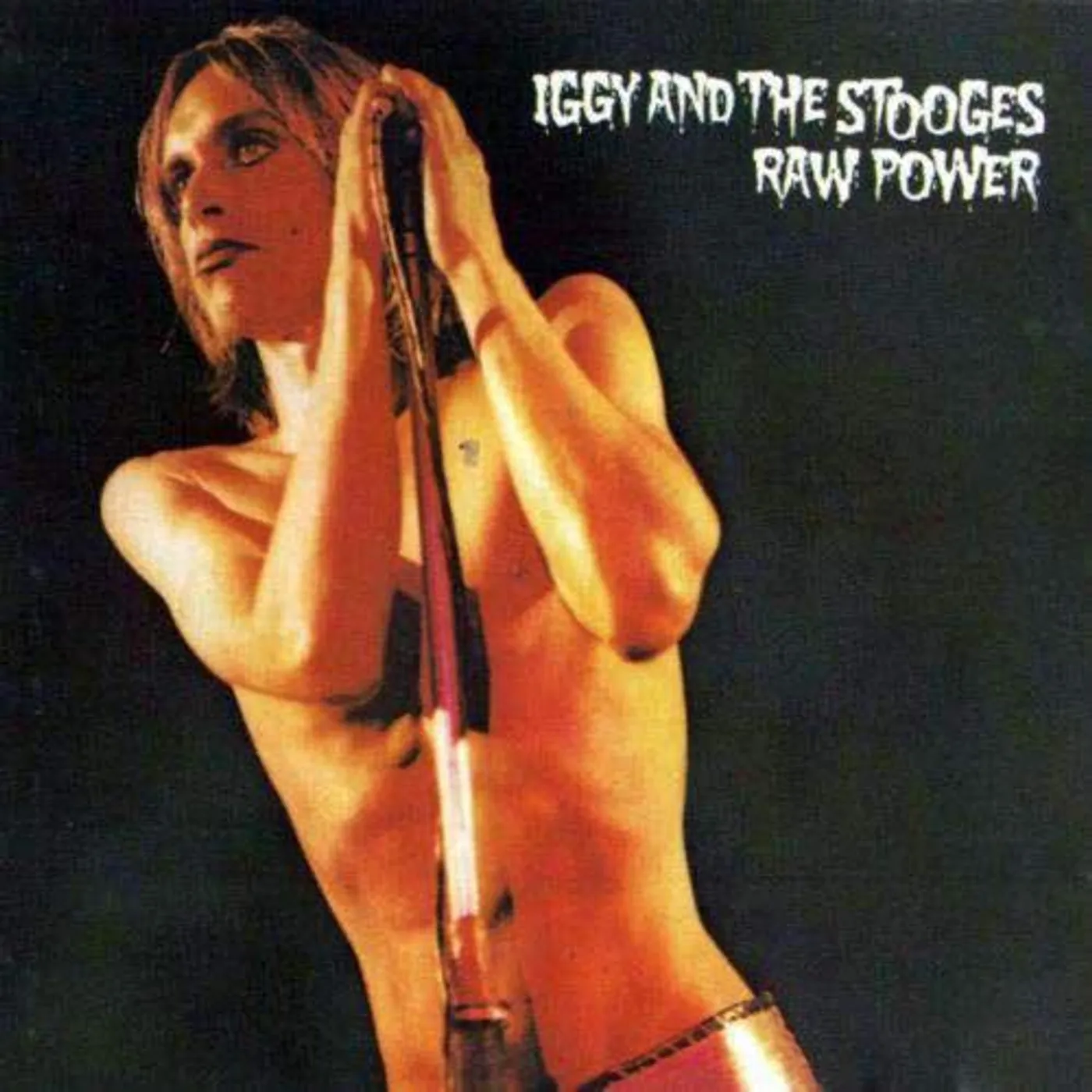 Iggy and the Stooges Raw Power Vinyl Record