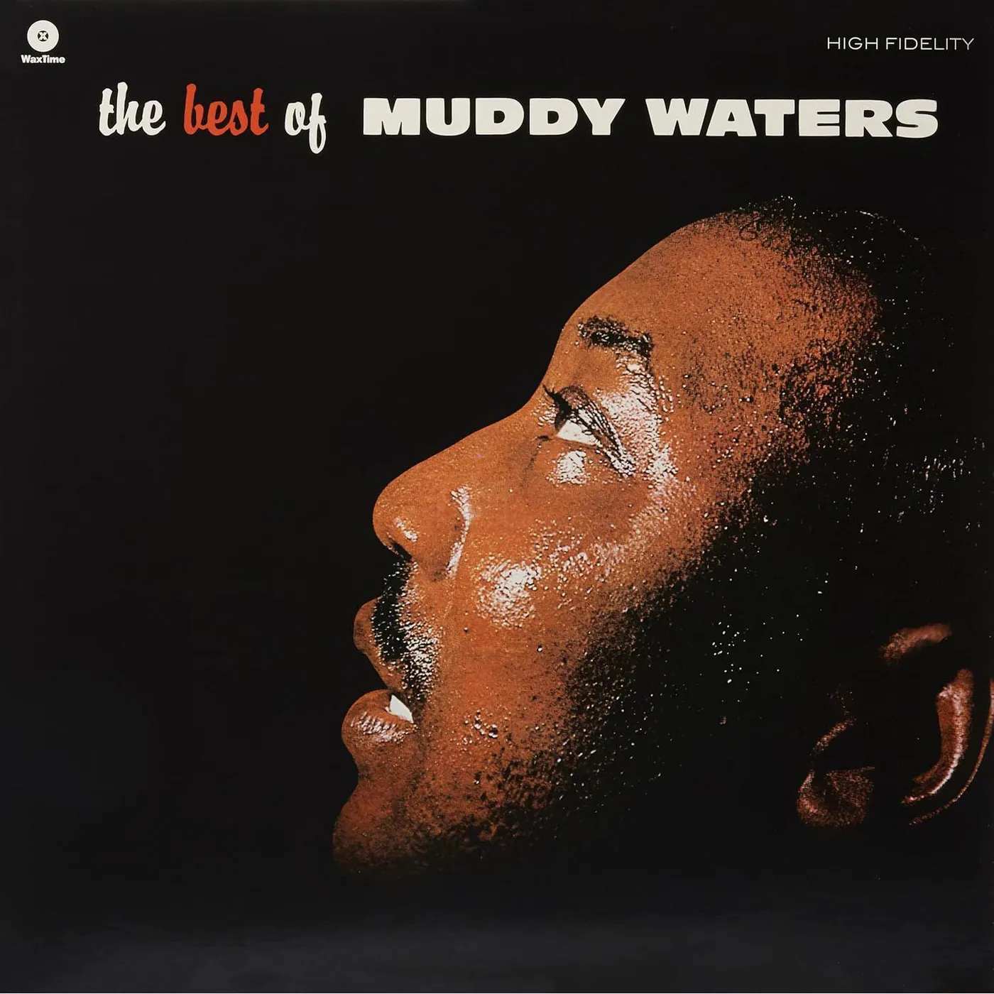 Muddy Waters The Best Of (Remastered/ 4 Bonus Tracks/180 Gram Pressing) Vinyl Record