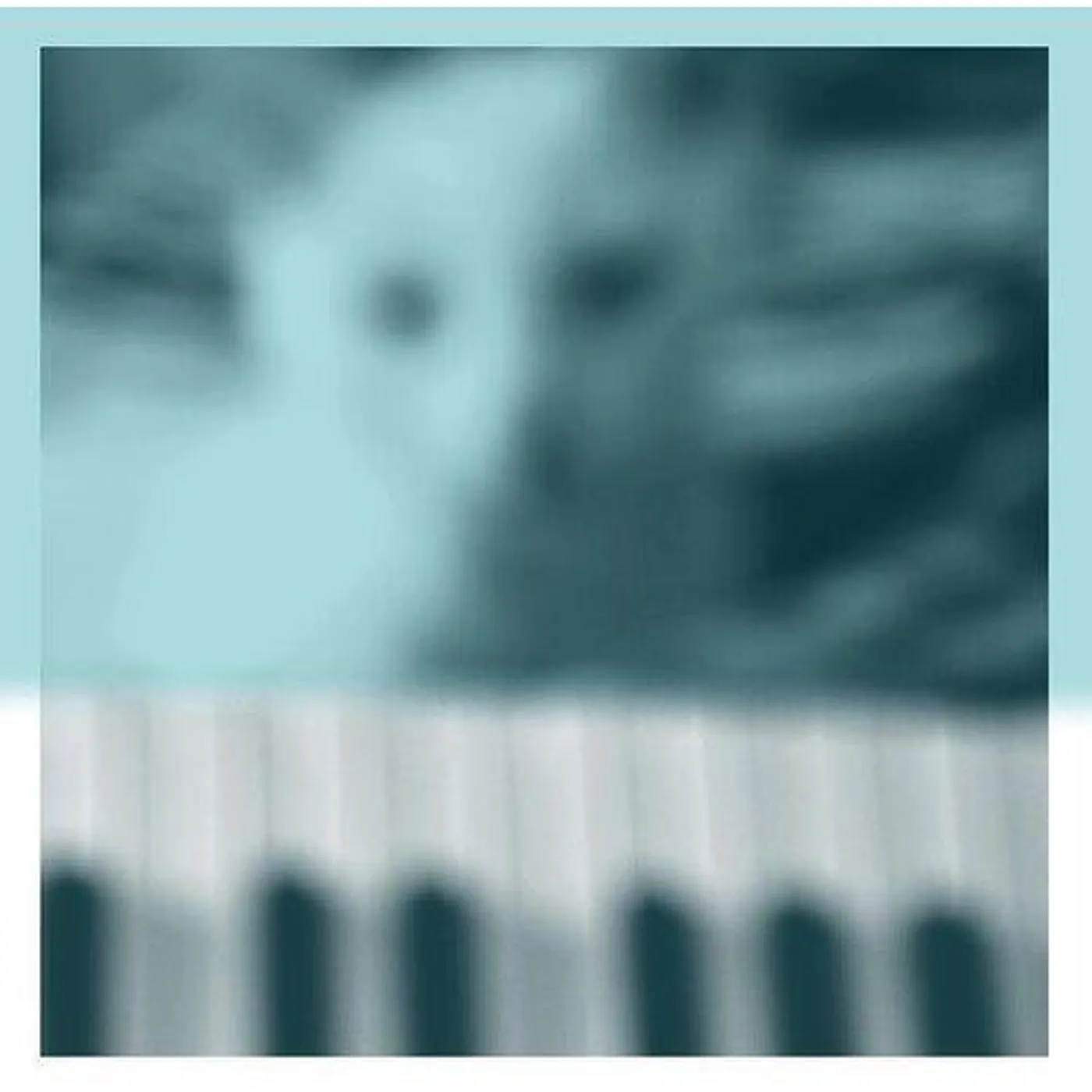 Peter Broderick Piano Works Vol. 1 (Floating In Tuckers Basement) Vinyl Record