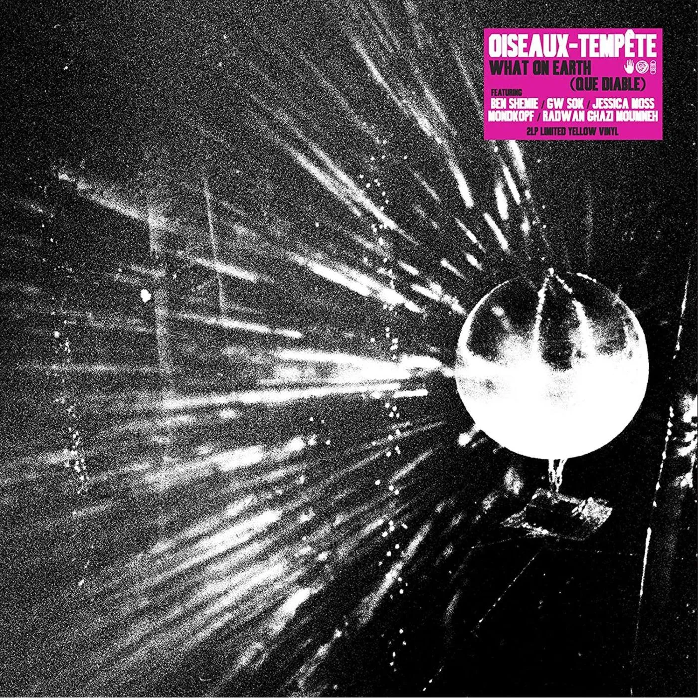Oiseaux-Tempête What On Earth (Que Diable) Vinyl Record