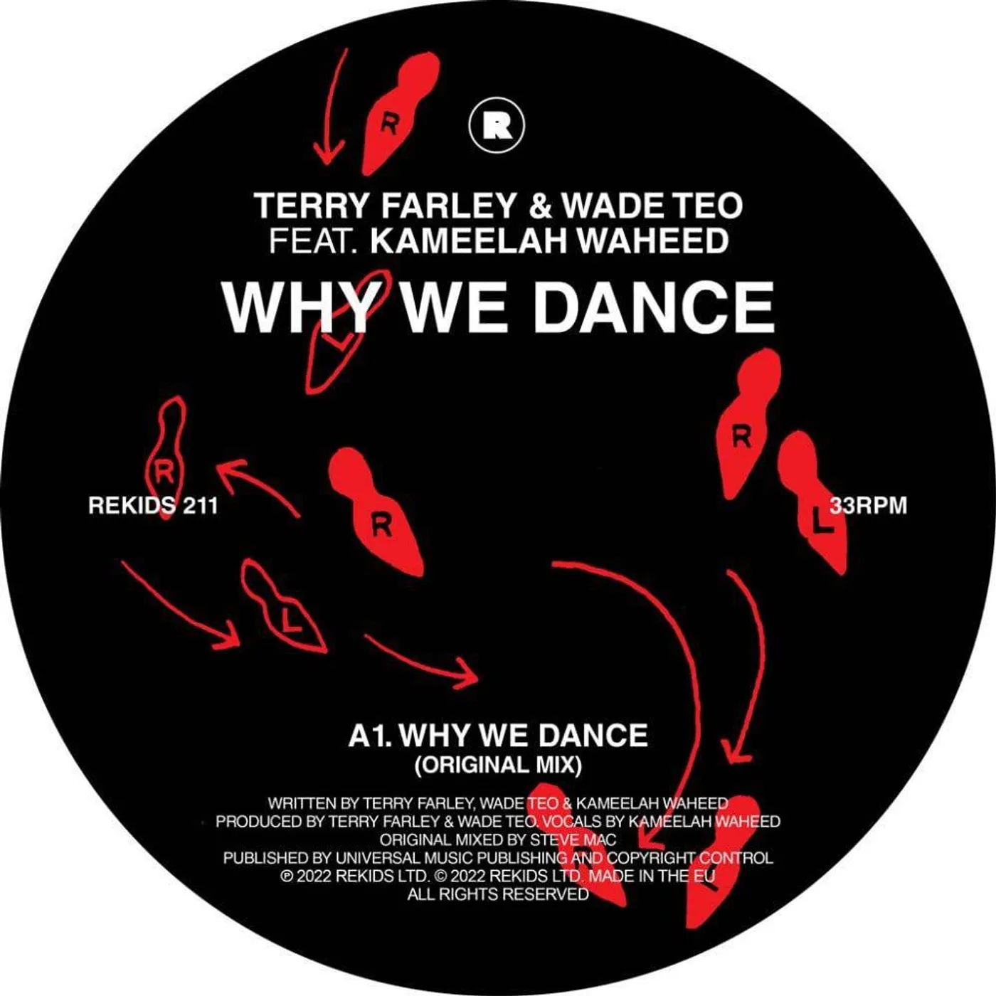 Terry Farley Why We Dance Vinyl Record