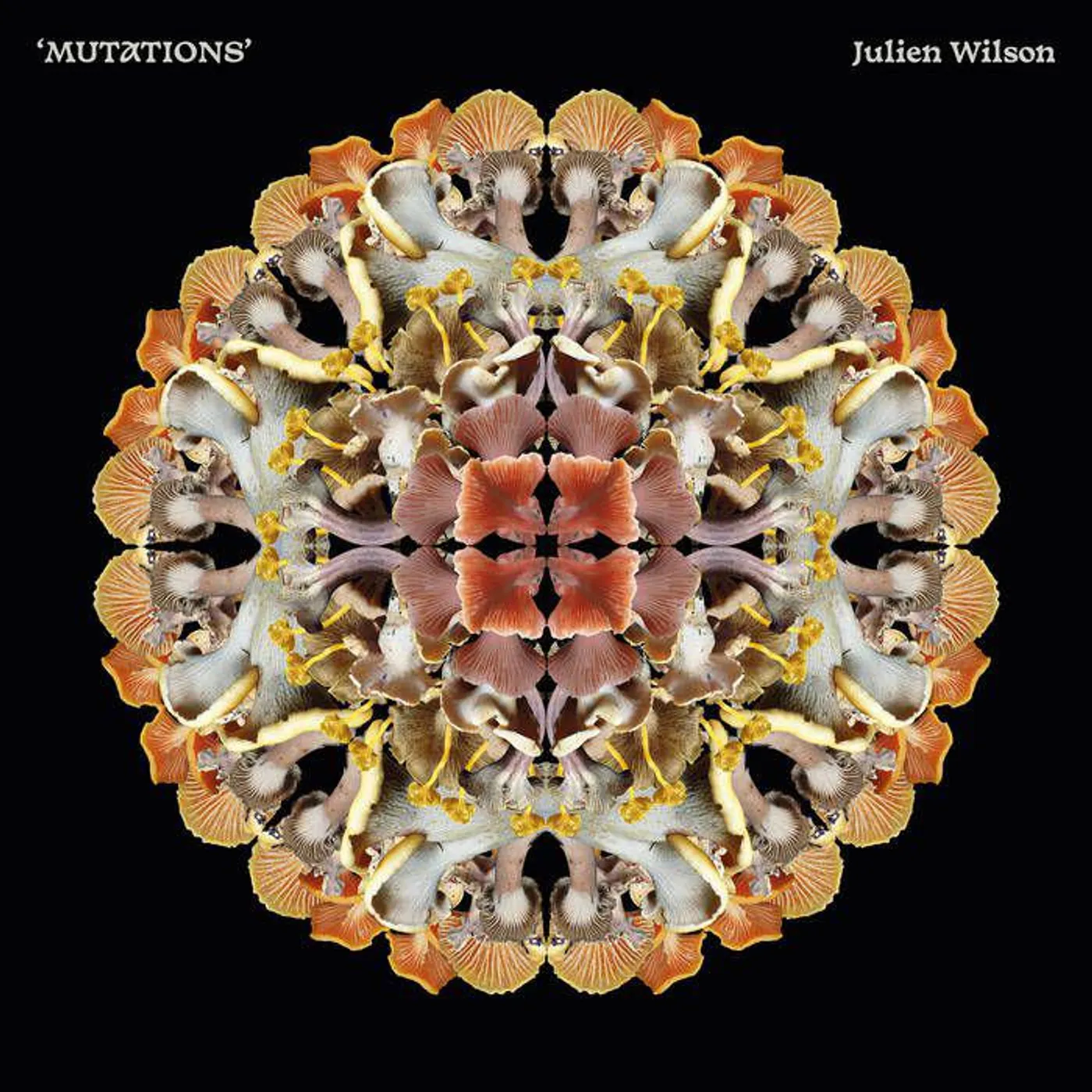 Julien Wilson MUTATIONS Vinyl Record