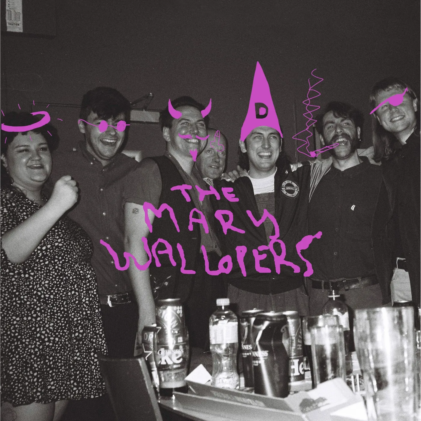  The Mary Wallopers Vinyl Record