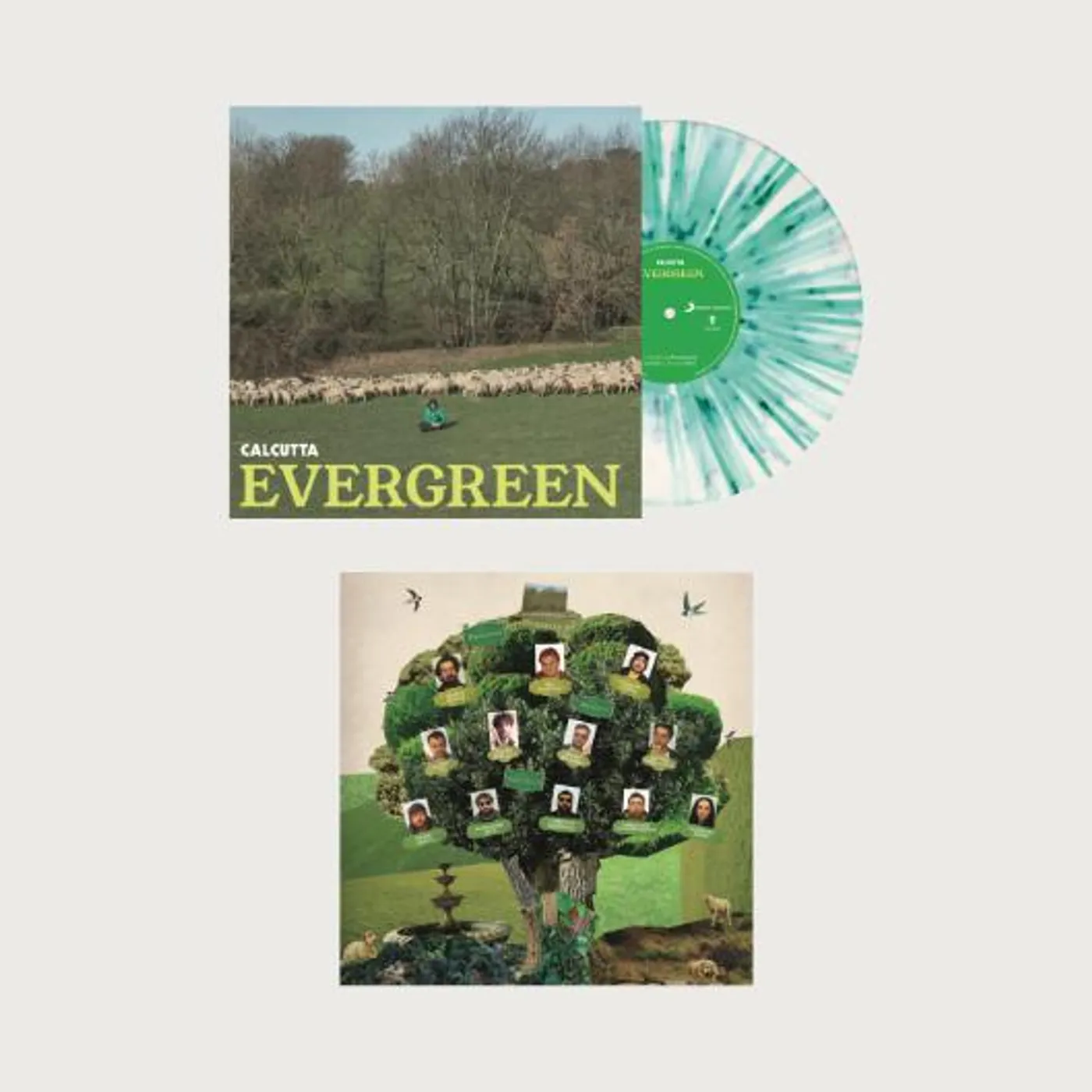 Calcutta  Evergreen (White & Green Splatter) Vinyl Record