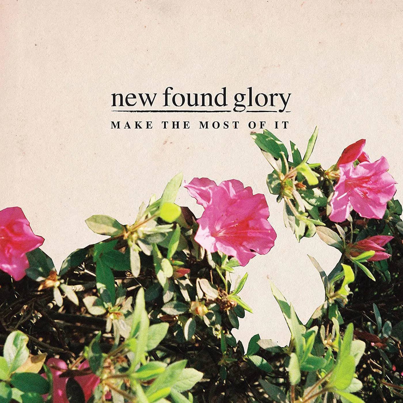 New Found Glory Make The Most Of It Vinyl Record