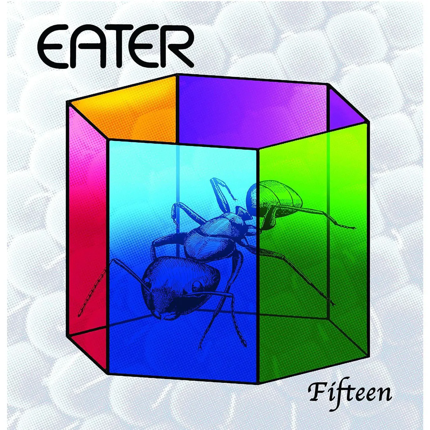 Eater Fifteen / Why Don't You Vinyl Record