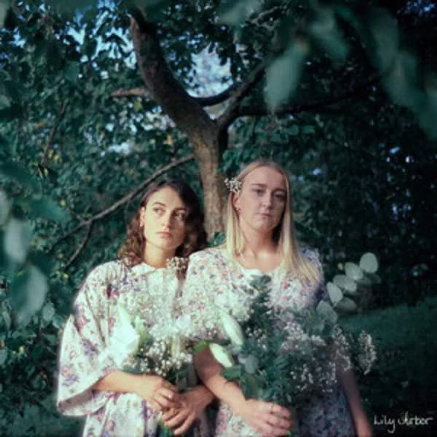 LILY ARBOR Vinyl Record