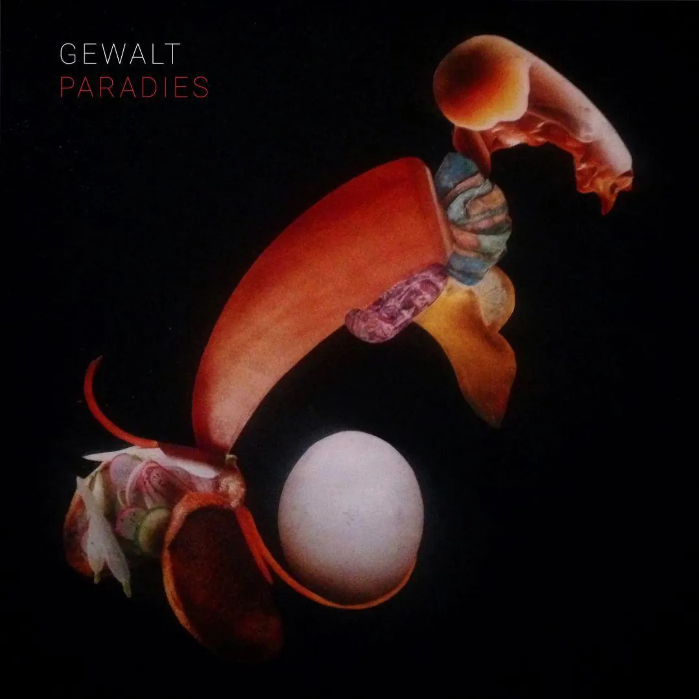 Gewalt Paradies Vinyl Record