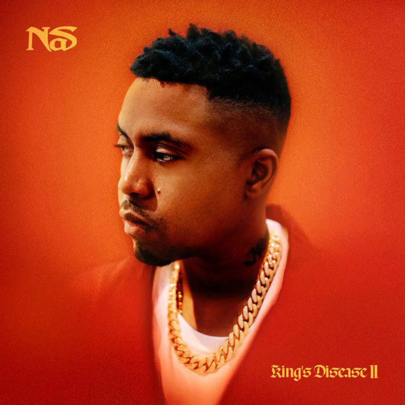 Nas King's Disease Ii Vinyl Record