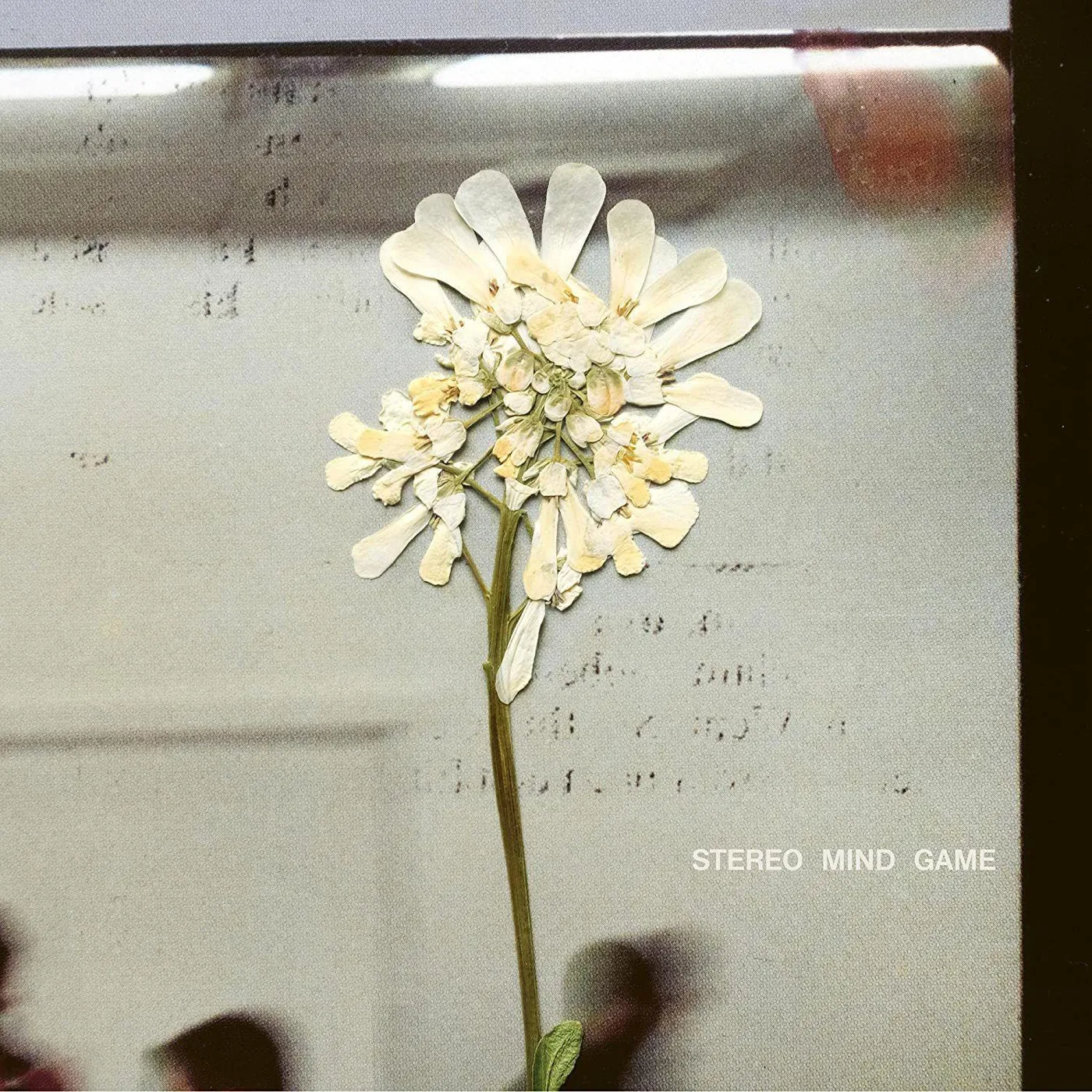Daughter Stereo Mind Game Vinyl Record