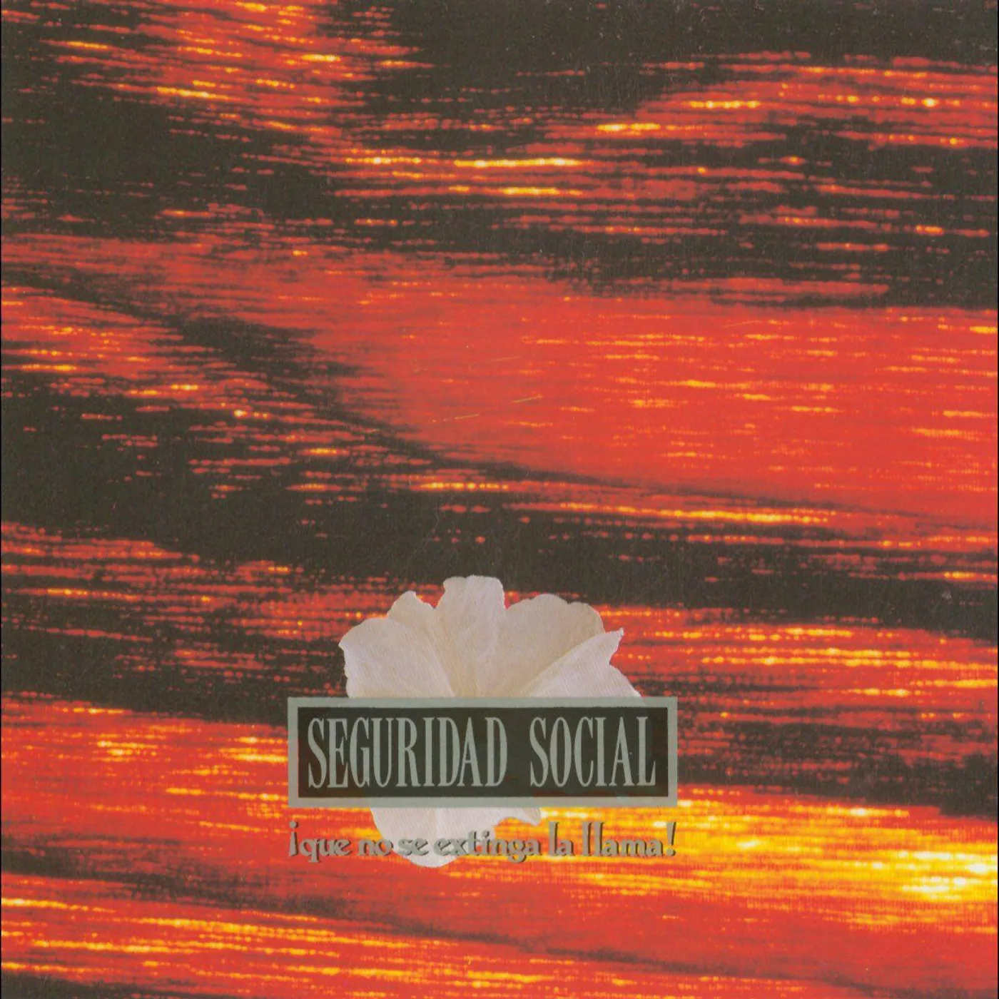 Seguridad Social Que No Se Extinga La Llama Vinyl Record