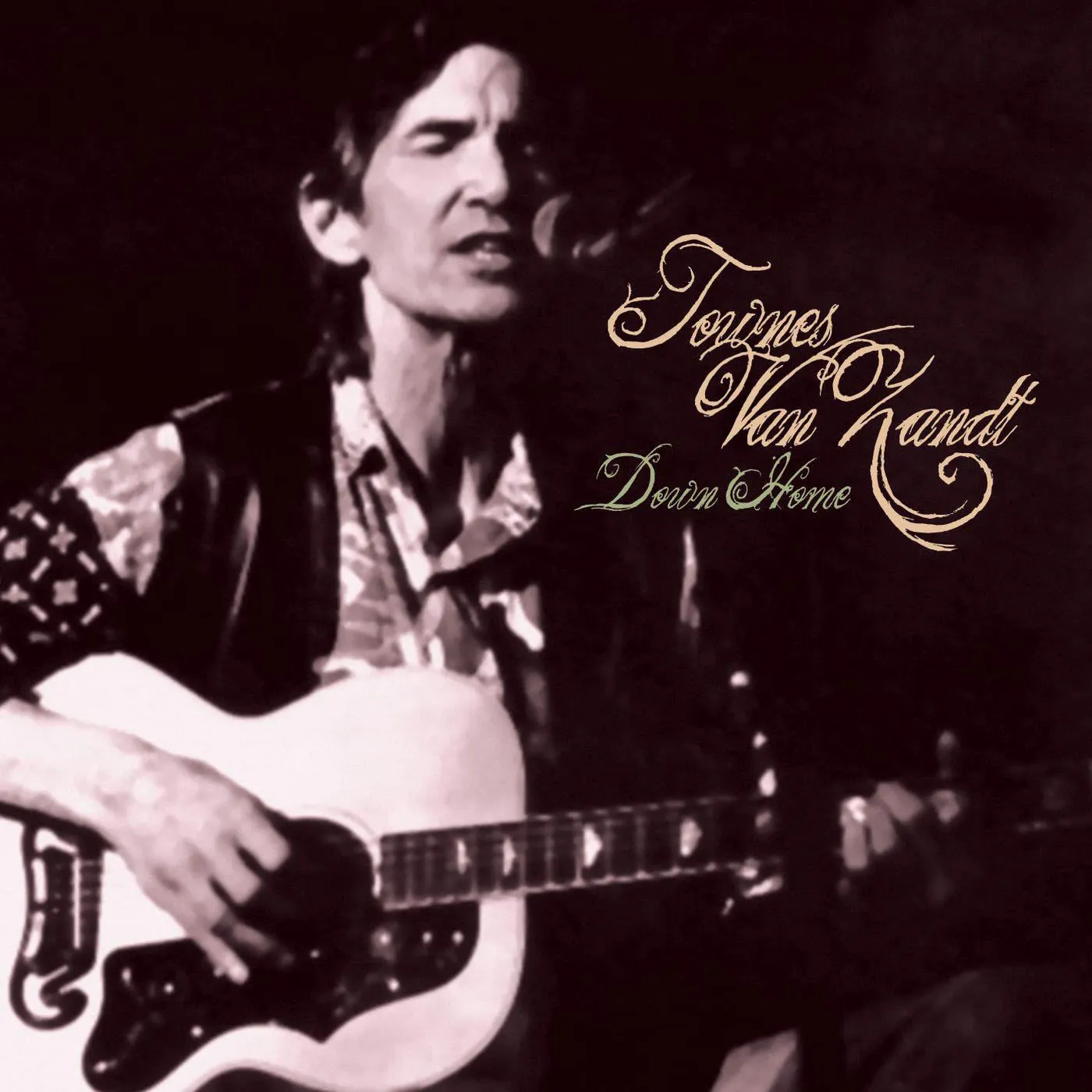 Townes Van Zandt Down Home 1985 Vinyl Record