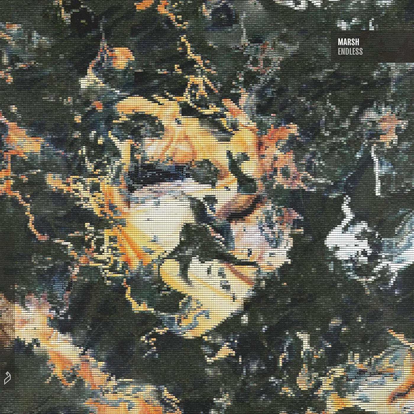 Marsh Endless Vinyl Record