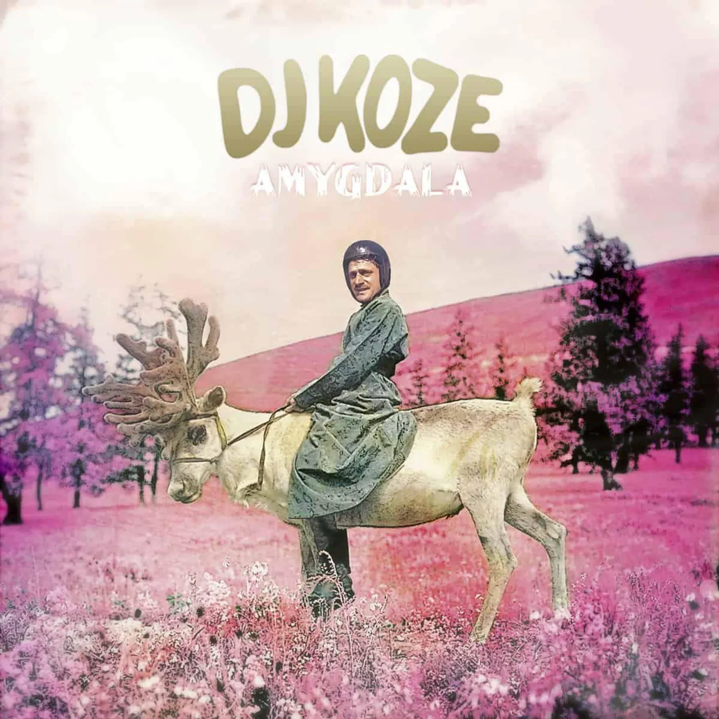 DJ Koze Amygdala Vinyl Record