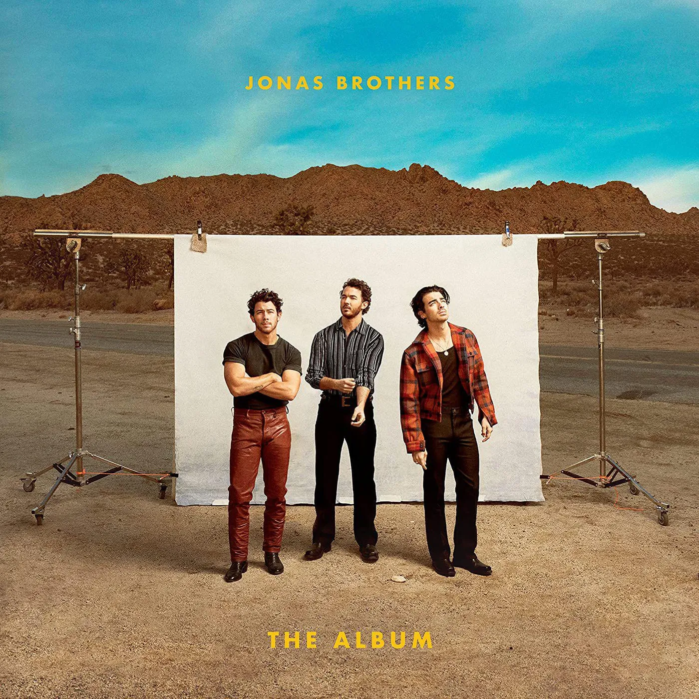 Jonas Brothers Album Vinyl Record