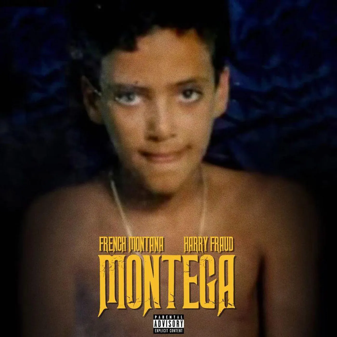French Montana / Harry Fraud Montega Vinyl Record